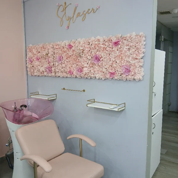 Foto 2 de Stylaser Center